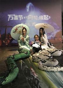 青蛇白蛇爆料视频大全,揭秘经典神话背后的故事  第1张